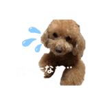 トイプーミッキーの日常スタンプ（個別スタンプ：14）
