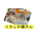 腹が減っては。（個別スタンプ：6）