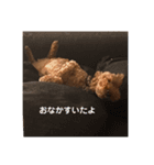 デカコロン（個別スタンプ：3）