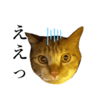 イケイケめぐ虎（個別スタンプ：5）