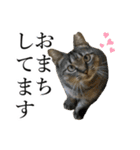 イケイケめぐ虎（個別スタンプ：8）