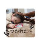 likeのスタンプ（個別スタンプ：23）
