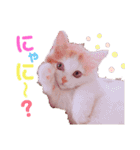 おもちちゃんすたんぷ♡（個別スタンプ：1）