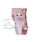 おもちちゃんすたんぷ♡（個別スタンプ：6）