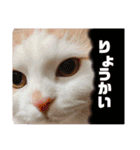おもちちゃんすたんぷ♡（個別スタンプ：14）