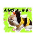 おもちちゃんすたんぷ♡（個別スタンプ：17）
