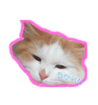 おもちちゃんすたんぷ♡（個別スタンプ：18）