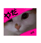 おもちちゃんすたんぷ♡（個別スタンプ：19）