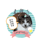 ココ＆フレンズ（個別スタンプ：3）