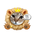 ココ＆フレンズ（個別スタンプ：5）