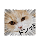 みよし君です（個別スタンプ：1）
