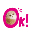 みよし君です（個別スタンプ：3）
