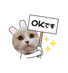 みよし君です（個別スタンプ：5）