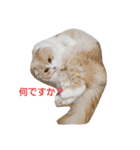 みよし君です（個別スタンプ：6）
