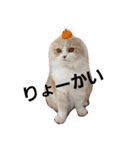 みよし君です（個別スタンプ：7）