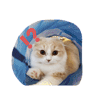 みよし君です（個別スタンプ：10）