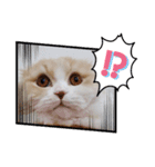 みよし君です（個別スタンプ：11）