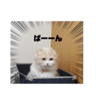 みよし君です（個別スタンプ：14）