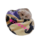 みよし君です（個別スタンプ：17）