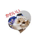 みよし君です（個別スタンプ：19）