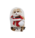 みよし君です（個別スタンプ：20）
