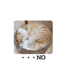 みよし君です（個別スタンプ：21）