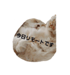 みよし君です（個別スタンプ：22）