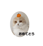 みよし君です（個別スタンプ：24）