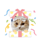 みよし君です（個別スタンプ：31）