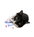 ♡♡♡kohaku♡♡♡（個別スタンプ：1）
