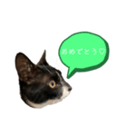 ♡♡♡kohaku♡♡♡（個別スタンプ：5）