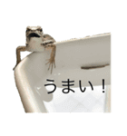 まるくてかわいいお豆たち2（個別スタンプ：1）
