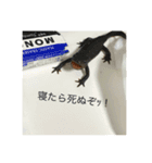 まるくてかわいいお豆たち2（個別スタンプ：5）