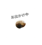 まるくてかわいいお豆たち2（個別スタンプ：15）