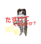 CHESCHAN（個別スタンプ：8）