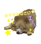 CHESCHAN（個別スタンプ：9）