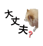 CHESCHAN（個別スタンプ：12）