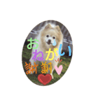 CHESCHAN（個別スタンプ：15）