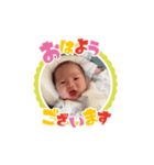 シキくんスタンプ2（個別スタンプ：1）