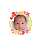 シキくんスタンプ2（個別スタンプ：5）