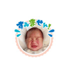シキくんスタンプ2（個別スタンプ：6）