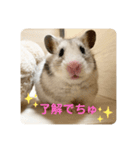 皐月スタンプ。②（個別スタンプ：2）