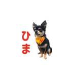 モイスタンプ（日常編）（個別スタンプ：4）