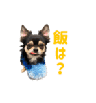 モイスタンプ（日常編）（個別スタンプ：7）