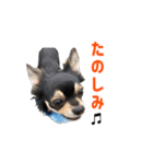 モイスタンプ（日常編）（個別スタンプ：8）