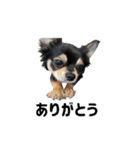 モイスタンプ（日常編）（個別スタンプ：9）