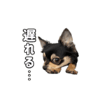 モイスタンプ（日常編）（個別スタンプ：10）