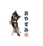 モイスタンプ（日常編）（個別スタンプ：13）