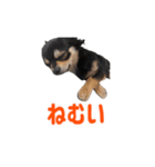 モイスタンプ（日常編）（個別スタンプ：14）
