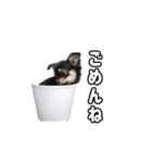 モイスタンプ（日常編）（個別スタンプ：15）